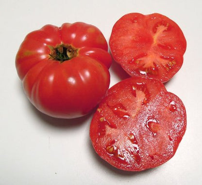 Adelaide - Heirloom Tomato Seeding