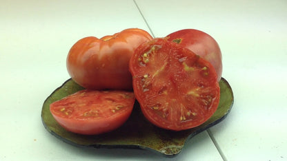 Adelaide - Heirloom Tomato Seeding