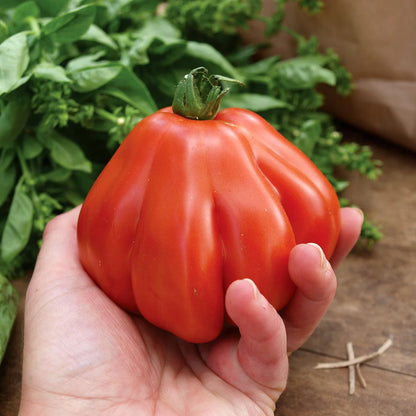 Granny's Throwing - Heirloom Tomato Seeding